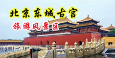 麻豆大乃操B中国北京-东城古宫旅游风景区